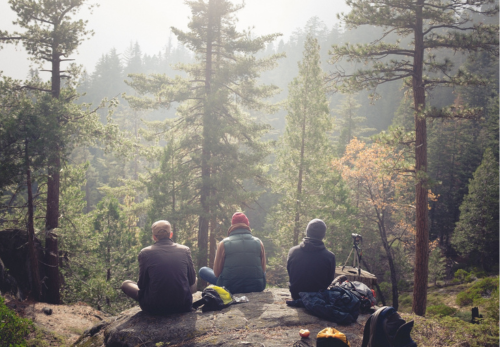 3 people sit facing away from the camera on a rock and look into the pine forest