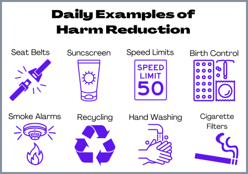 Daily Examples of Harm Reduction: seat belts, sunscreen, speed limits, birth control, etc.