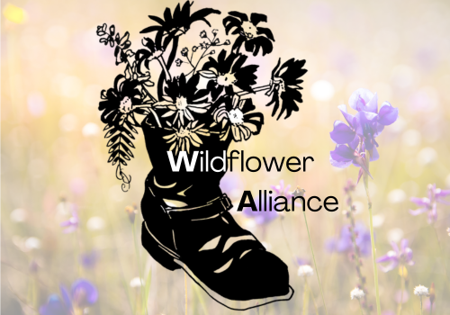 Drawing of an old boot with wildflowers in it on a photo background of wildflowers